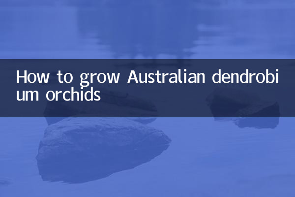 澳洲石斛兰怎么养