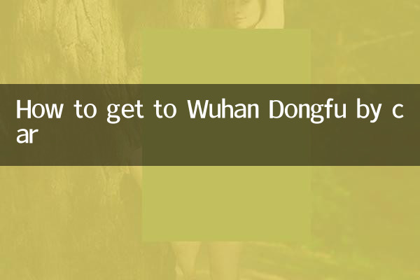 怎么坐车去武汉东富
