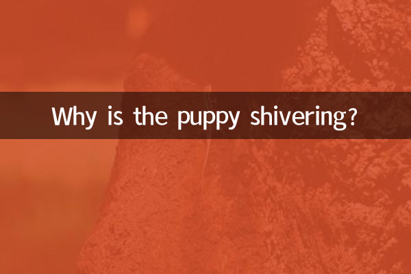 なぜ子犬は震えているのですか？