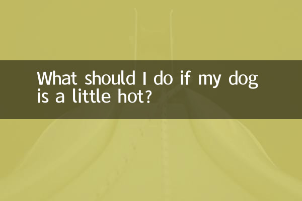 犬が少し暑い場合はどうすればよいですか?