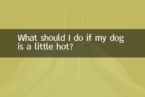 犬が少し暑い場合はどうすればよいですか?