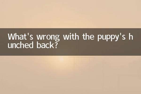 小狗弓背怎麼回事
