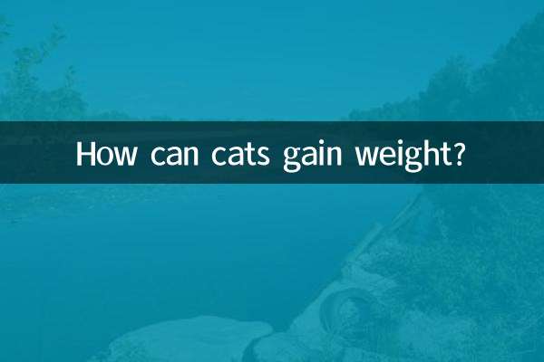 কিভাবে বিড়াল ওজন বাড়াতে পারে?