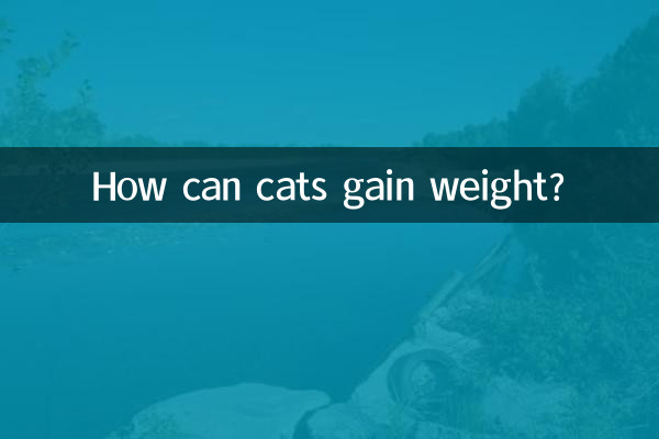 কিভাবে বিড়াল ওজন বাড়াতে পারে?