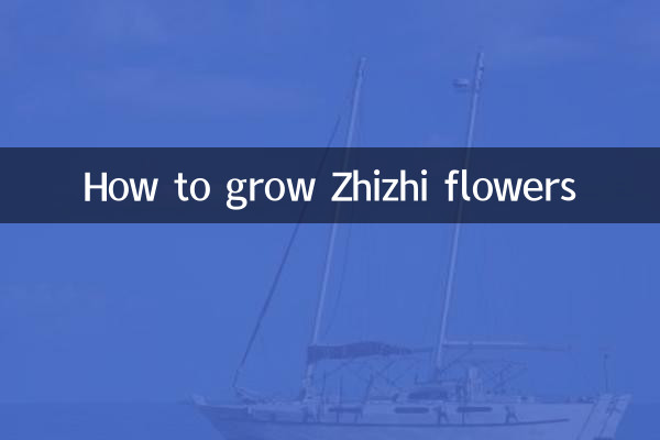 Comment faire pousser des fleurs de Zhizhi