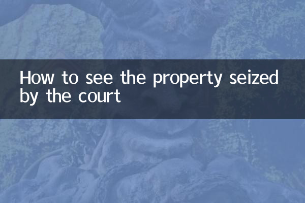 How to see the property seized by the court