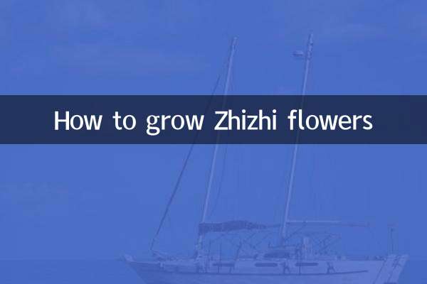 Come coltivare i fiori Zhizhi