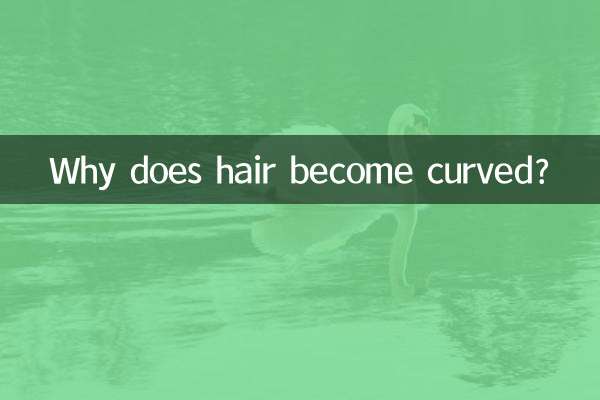 Perché i capelli si curvano?