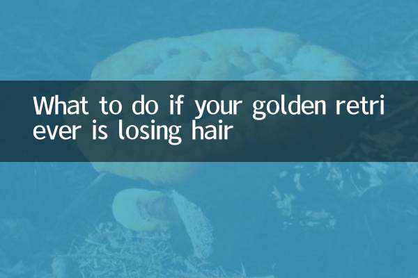 Qué hacer si a tu golden retriever se le cae el pelo