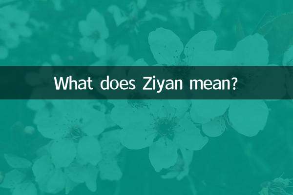 زیان کا کیا مطلب ہے؟