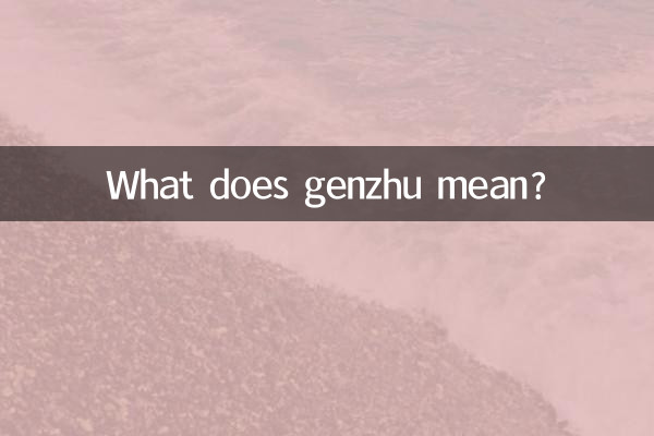 গেঞ্জু মানে কি?