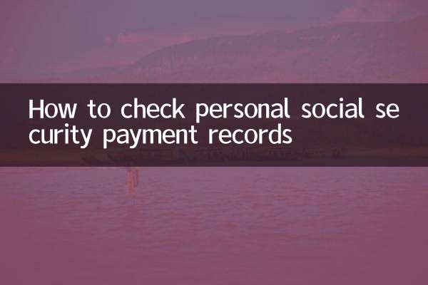 怎麼查個人社保繳費記錄