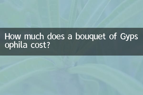 जिप्सोफिला के गुलदस्ते की कीमत कितनी है?