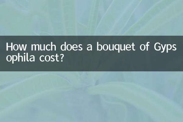 Quanto costa un mazzo di Gypsophila?