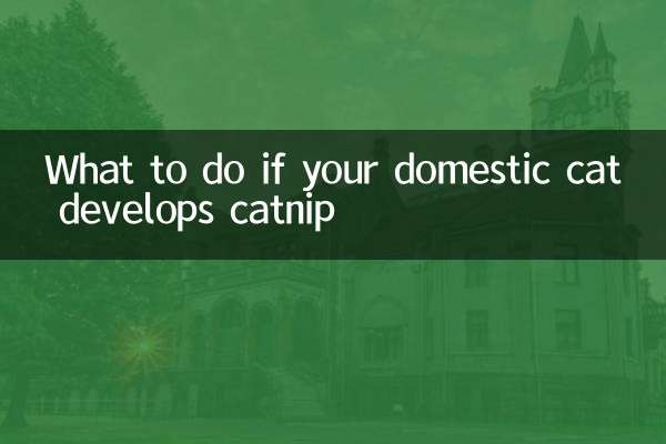 আপনার গৃহপালিত বিড়াল ক্যাটনিপ বিকাশ করলে কী করবেন