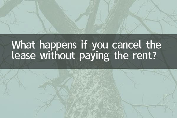 Что произойдет, если вы расторгнете договор аренды, не заплатив арендную плату?