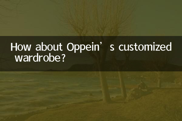 Que diriez-vous de la garde-robe personnalisée d’Oppein ?