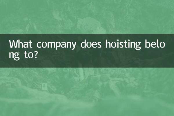 ما هي الشركة التي تنتمي إليها الرفع؟