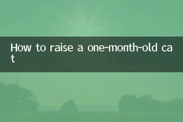 Wie man eine einen Monat alte Katze großzieht