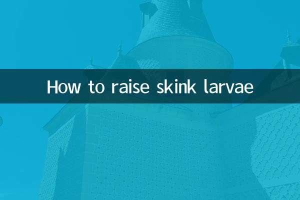 Como criar larvas de lagarto