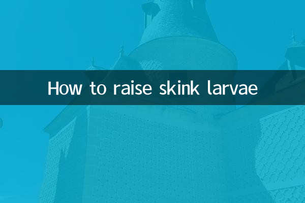 Como criar larvas de lagarto