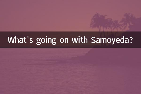 ماذا يحدث مع ساموييدا؟
