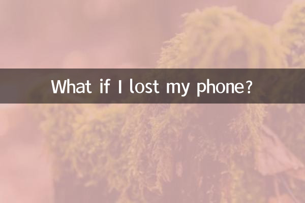 Cosa succede se perdo il telefono?