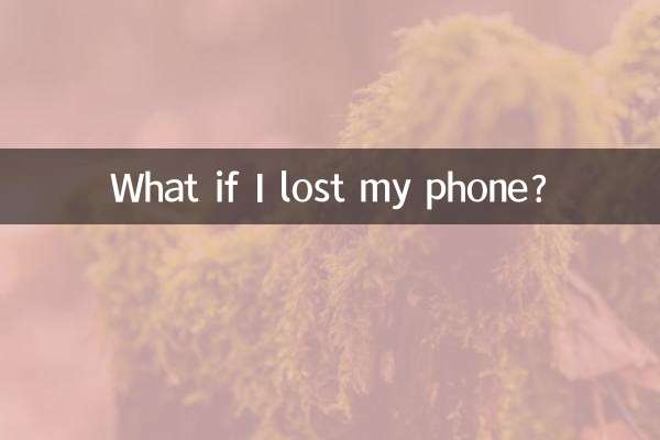 Cosa succede se perdo il telefono?