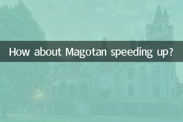 まごたんのスピードアップはどうですか?