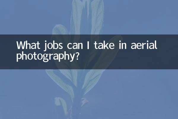 What jobs can I take in aerial photography?