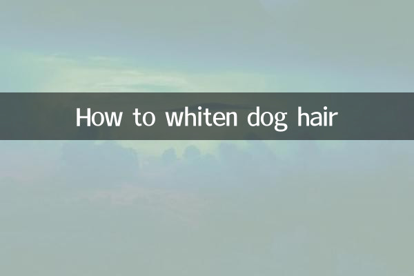 Как отбелить шерсть собаки