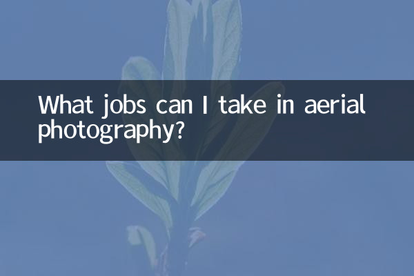 What jobs can I take in aerial photography?