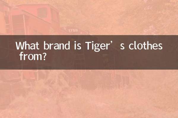 टाइगर के कपड़े किस ब्रांड के हैं?