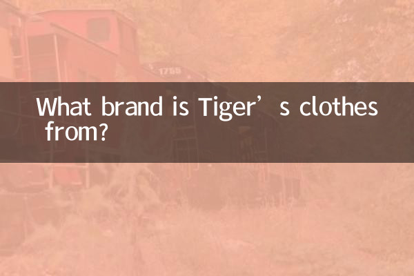 टाइगर के कपड़े किस ब्रांड के हैं?