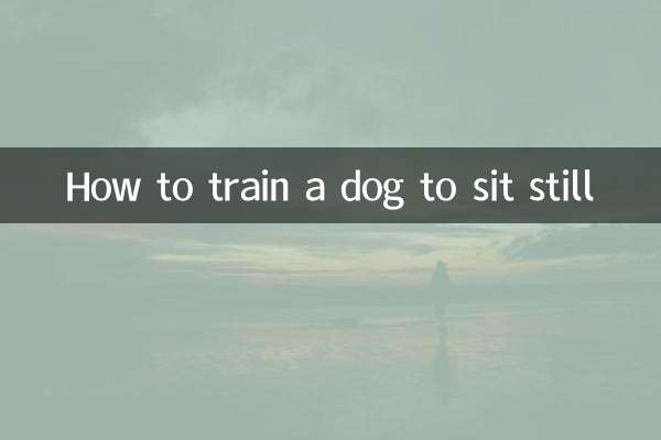 कुत्ते को स्थिर बैठने के लिए कैसे प्रशिक्षित करें?