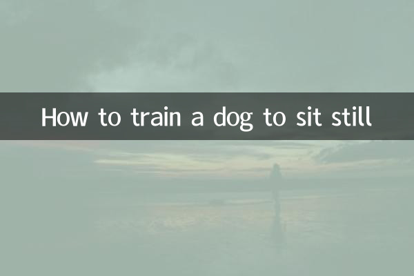 कुत्ते को स्थिर बैठने के लिए कैसे प्रशिक्षित करें?