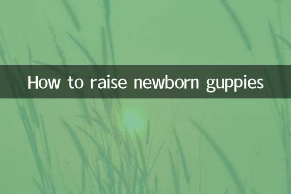 نوزائیدہ گپیوں کو کیسے اٹھایا جائے