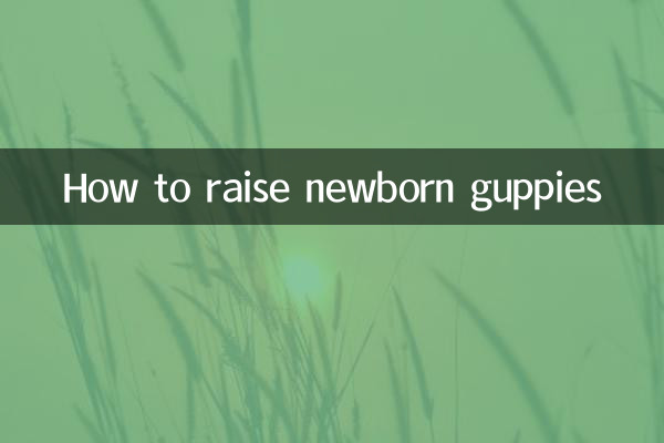 नवजात गप्पियों का पालन-पोषण कैसे करें