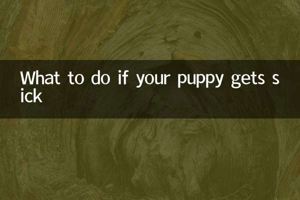 Was tun, wenn Ihr Welpe krank wird?