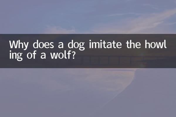 Por que um cachorro imita o uivo de um lobo?