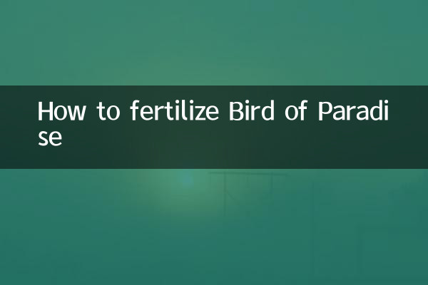 Comment fertiliser l'Oiseau du Paradis