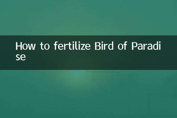 So düngen Sie den Paradiesvogel