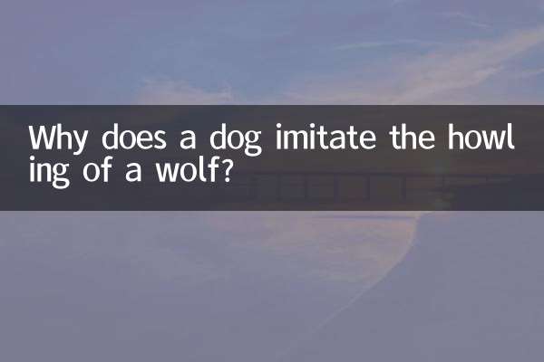 Por que um cachorro imita o uivo de um lobo?