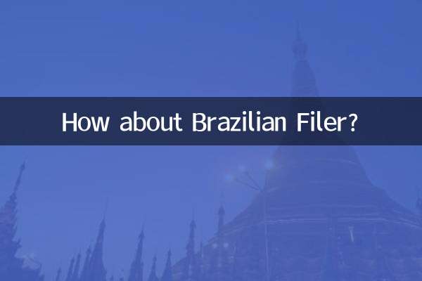 巴西菲勒怎麼樣