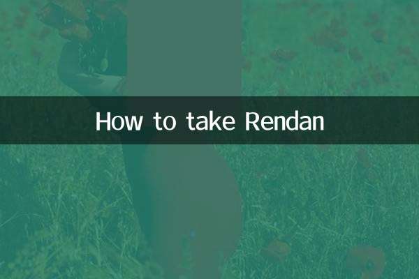 Comment prendre Rendan