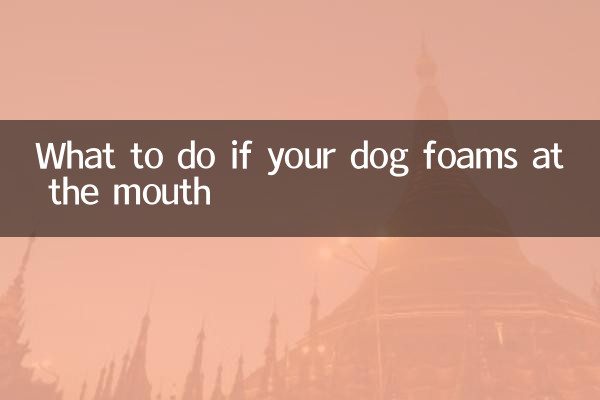 ماذا تفعل إذا كان كلبك لديه رغوة في الفم