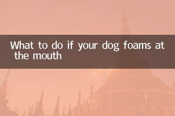 ماذا تفعل إذا كان كلبك لديه رغوة في الفم