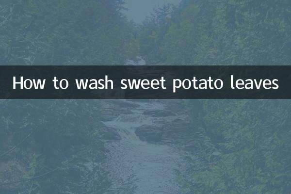 番薯叶怎么洗