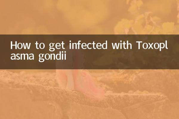 Wie man sich mit Toxoplasma gondii infiziert