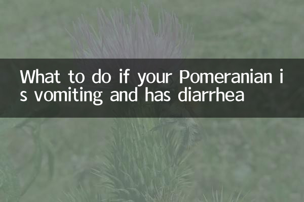 اگر آپ کا پومرینیا الٹی ہے اور اسہال ہے تو کیا کریں